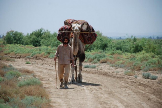 Azərbaycan filmləri “CayFilm” Kayman Beynəlxalq Film Festivalında