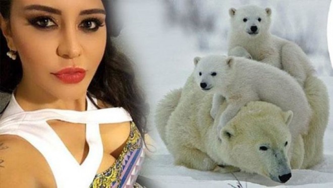 Ebru qütb ayısını "övladlığa götürdü" – foto