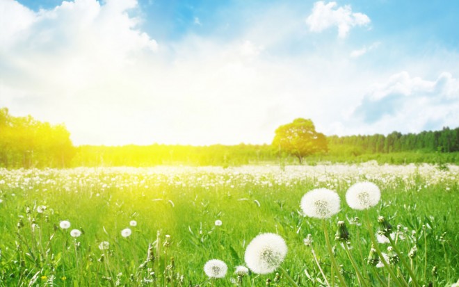 Sabah 42 dərəcə isti olacaq