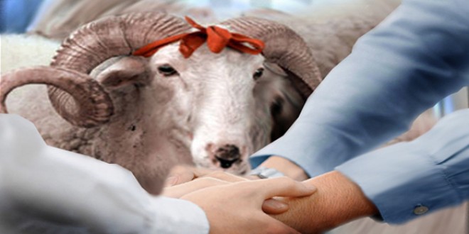Qurban bayramında neçə gün iş olmayacaq?