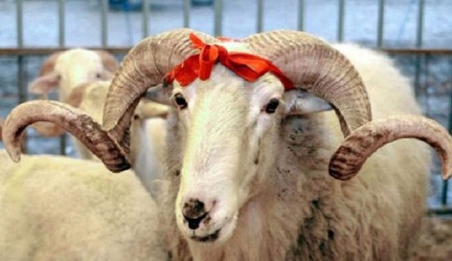 Qurban bayramı ilə əlaqədar sentyabrın 1-i və 2-si qeyri-iş günü elan olunub