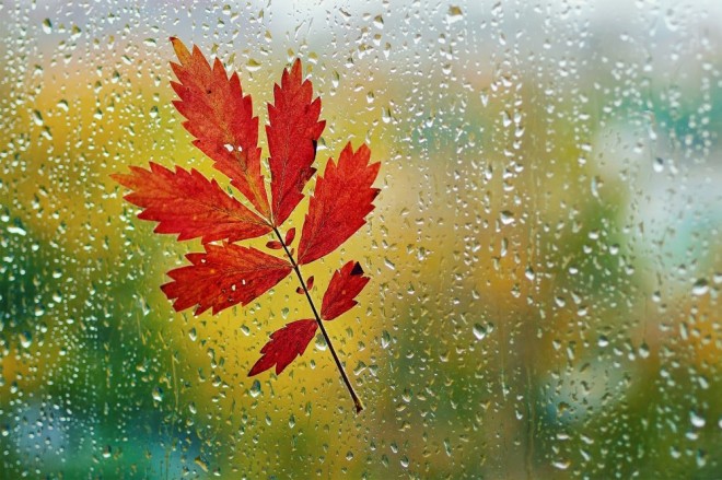 Payızın ilk yağışı yağacaq