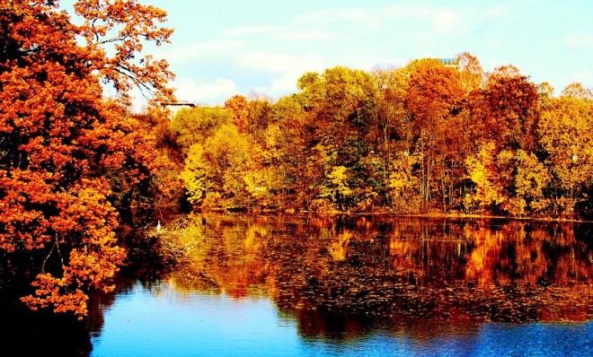 Noyabrın 3-nə olan hava proqnozu