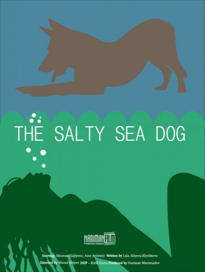 Azərbaycan filmi beynəlxalq festivalda uğur qazanıb