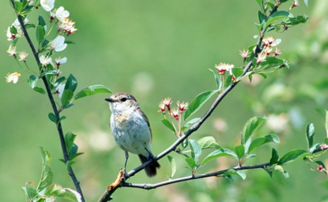 Sabaha gözlənilən hava şəraiti 
