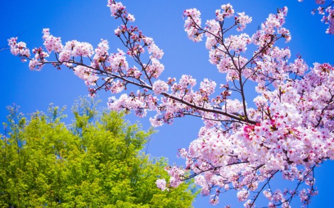 Sabaha gözlənilən hava şəraiti&nbsp;