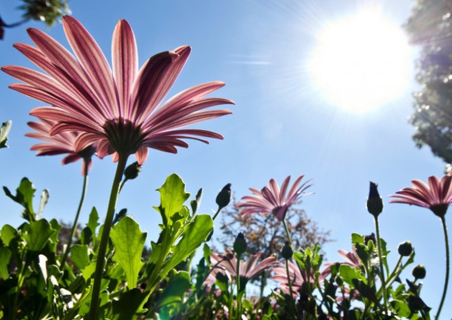 Sabahın hava proqnozu açıqlandı