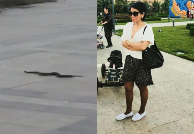 Emma Ələkbərzadə Bakı bulvarında iln gördü - video
