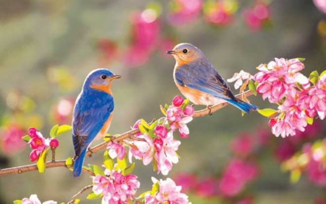 Bu günün hava proqnozu