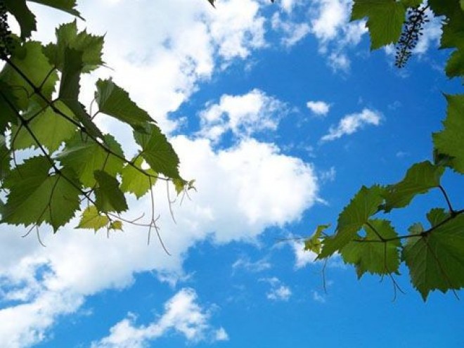 Sabaha&nbsp;gözlənilən hava proqnozu