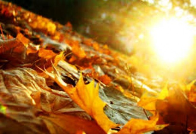 Sabaha gözlənilən hava şəraiti açıqlandı