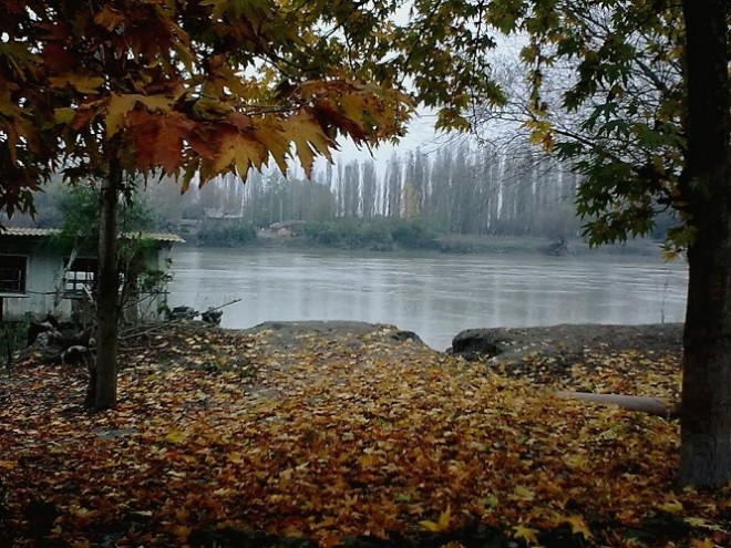Sabahın hava proqnozu bəlli oldu