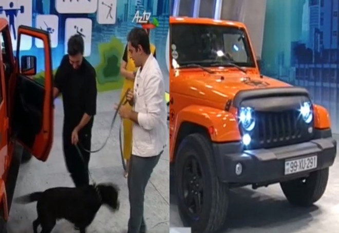 Çingiz studiyaya avtomobili və iti ilə gəldi - video