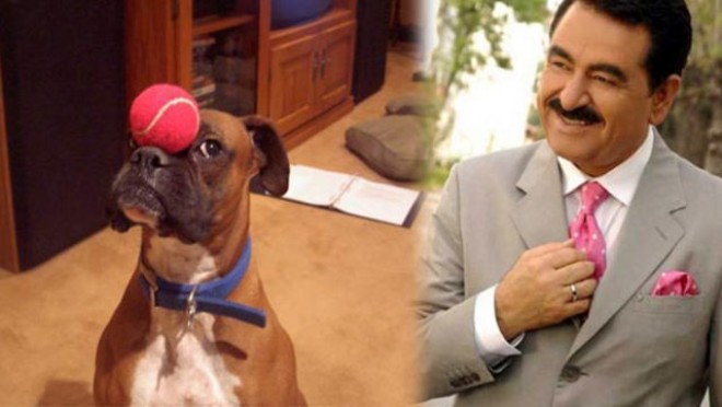 İbrahim Tatlısəsin iti öldü - foto