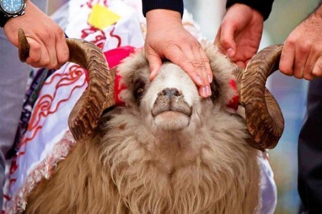 Azərbaycanda Qurban bayramı qeyd edilir